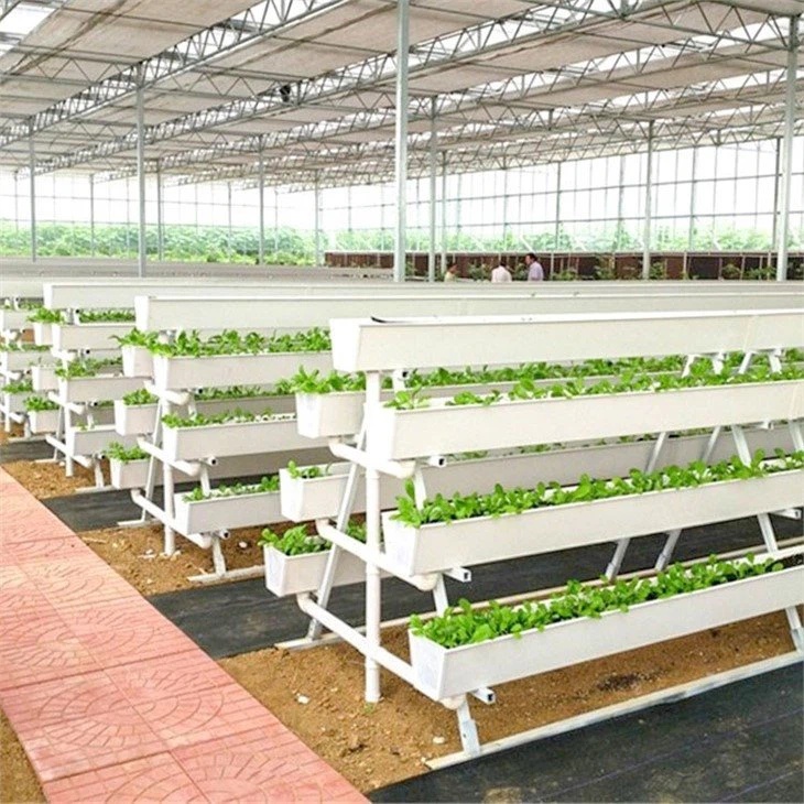 Hydroponics Growing Gutters greenhouse