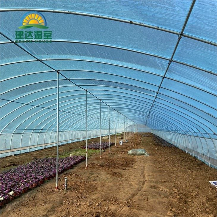 Single Tunnel Greenhouse
