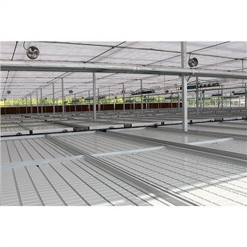 Κρεβάτι σποράς θερμοκηπίου