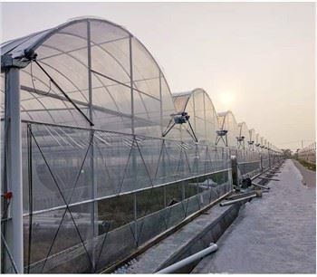 Green House Ventilation