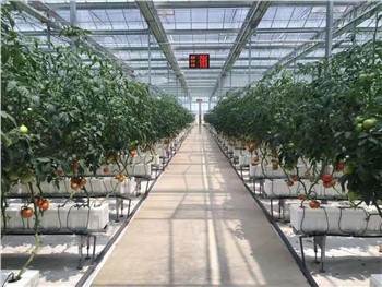 Καλλιέργεια υδρορροών