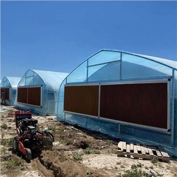 Θερμοκήπιο φυτών κάνναβης πώλησης