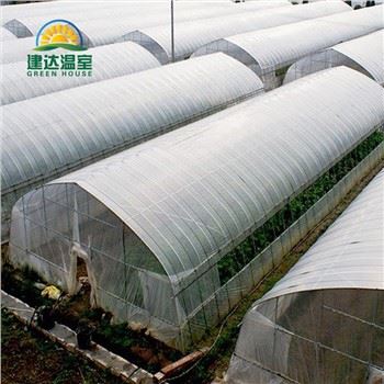 PO Film Vegetable Greenhouse