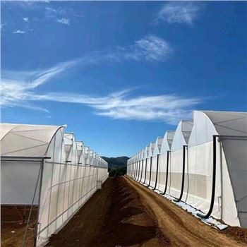 Υδροπονικά Συστήματα Θερμοκήπιο