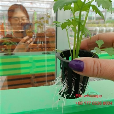 Το κάθετο θερμοκήπιο της γεωργίας